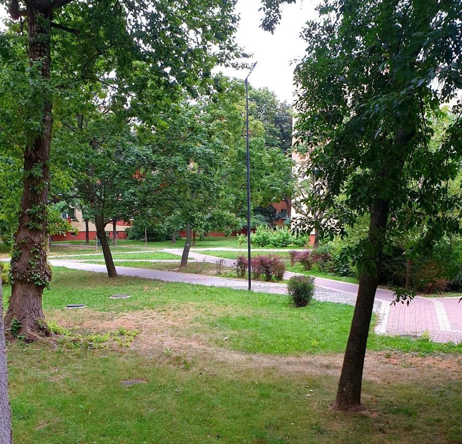 Best Choice 2-Bedroom Apartment Płock Eksteriør billede